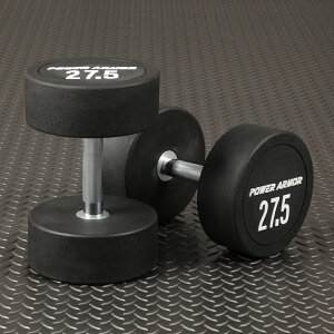 y11/30̓|CgAbvf[zPOWER ARMOR(p[A[}[)EhCWFNV_x27.5KG(2{Zbg)/_x o[x x`vX ؃g SAC g[jO g[jO