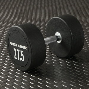 y11/30̓|CgAbvf[zPOWER ARMORip[A[}[jEhCWFNV_x27.5KGi1{j/_x o[x x`vX SAC g[jO g[jO}V 