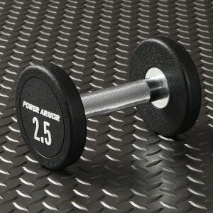 y11/30̓|CgAbvf[zPOWER ARMOR(p[A[}[)EhCWFNV_x2.5KGi1{j/_x o[x x`vX SAC g[jO g[jO}V 