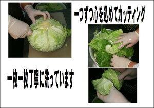 �j���j�N�s�g�p�I���܂ݔ��Q���Y���傤�����g�p�I10�����10�p�b�N�i���v100�j�Ŕ������܂�