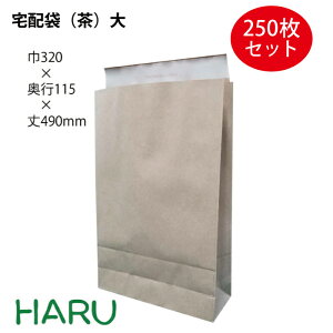大きい 紙袋の人気商品 通販 価格比較 価格 Com