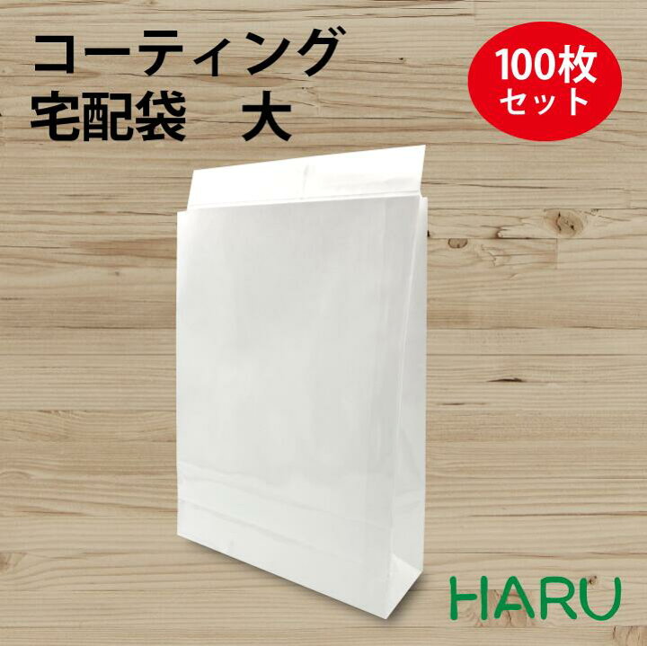 楽天市場】コーティング宅配袋 大 白 無地 100枚 晒+PET 幅320×マチ 