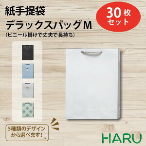 ��񂰎��� �f���b�N�X�o�b�OM 30������ 6�f�U�C�� �T�C�Y�F��330×�}�`110×��435mm�@�n���h���FPP�R�@���H�F�r�j�[���|���E�n�g�����߁E����t���y����/��񂰑�/��񂰃o�b�O/���b�s���O