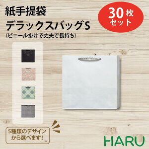 ��񂰎��� �f���b�N�X�o�b�OS 30������ 5�f�U�C�� �T�C�Y�F��330×�}�`110×��320mm�@�n���h���FPP�R�@���H�F�r�j�[���|���E�n�g�����߁E����t���y����/��񂰑�/��񂰃o�b�O/���b�s���O