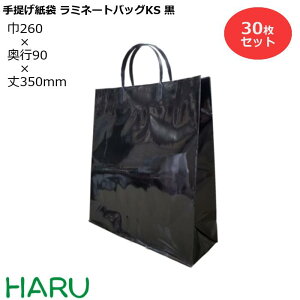 大きい 紙袋の通販 価格比較 価格 Com 大きい 紙袋の通販 価格比較 価格 Com