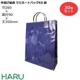 楽天市場 プレゼント 紙袋 大きいの通販