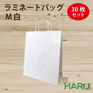 񂰎 ~l[gobO@M@@30@320×}`110×440mm@OXPP@