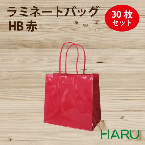 񂰎 ~l[gobO@HB@ԁ@30@180×}`100×170mm@OXPP@