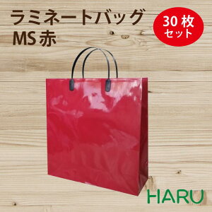 ��񂰎��� ���~�l�[�g�o�b�O�@MS�@�ԁ@30���@��320×�}�`110×��320mm�@�O���XPP�@���