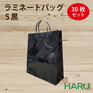 手提げ紙袋 ラミネートバッグ S 黒 30枚 巾225×マチ80×丈310mm グロスPP 底板紙( ブライダルバッグ 結婚式 披露宴 引き出物 引出物 大きい 手提げ袋 手提げ 紙袋 紙手提げ袋 ラッピング