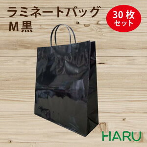 񂰎 ~l[gobO@M@@30@320×}`110×440mm@OXPP@