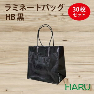 手提げ紙袋 ラミネートバッグ HB 黒 30枚梱包 巾180×マチ100×丈170mm グロスPP 底板紙