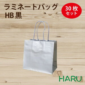手提げ紙袋 ラミネートバッグ HB シルバー(銀) 30枚 巾180×マチ100×丈170mm グロスPP 底板紙
