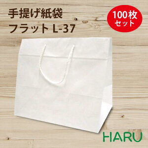 񂰎 tbg L-37  n 100 N 370×}`250×315mmi  e }`L o 傫 񂰑   񂰑 ٓ P[L bsO v[g Mtg 