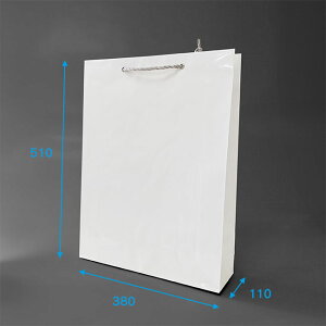 ��񂰎��� �f���b�N�X�o�b�OL 30������ 6�f�U�C�� ��380×�}�`110×��510mm�@�n���h���FPP�R�@���H�F�r�j�[���|���E�n�g�����߁E����t��( ���� ��� ��񂰑� �}�`�L �� �M�t�g ���b�s���O 