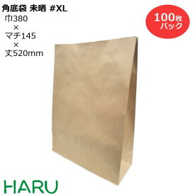 紙袋 角底袋 未晒 #XL 100枚梱包 未晒クラフト78g 茶無地 巾380×マチ145×520mm角底袋 特大 大 紙袋 マチ広 業務用 梱包用 配送用 無地 ラッピング ギフト 出荷袋 集荷袋 宅配袋 梱包袋 包装袋 運送袋 収納袋 収納 テイクアウト 持ち帰り