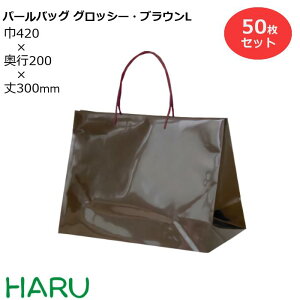 |񂰑 p[obO ObV[E_[NuEL A|G` 50 TCYF420×}`200×300mm񂰑 񂰃obO  o bsO v[g }`L 