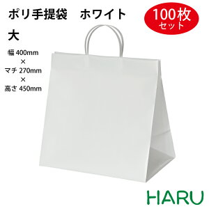 |񂰑 zCg  100 A|G` 400×}`270×450mm nbs[^bN 񂰑 񂰃obO  o bsO v[g }`L 傫 P[L e 