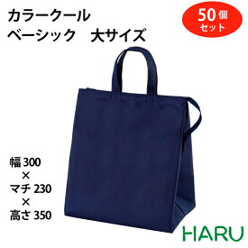 カラークール　ベーシック　大　サイズ：幅300×底マチ230×丈350mm　保冷袋 保冷バッグ プレゼント おしゃれ かわいい デリバリー 持ち帰り 飲食店 クールバッグ 不織布 アルミ蒸着 冷蔵 冷凍 ハンドル マチ広 弁当 仕出し 葬儀 通夜 セレモニー