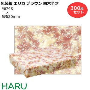  GJ uE lZ 300Zbg 748×c530mm i 킢 N[  MtgbsO bsO  Mtg Ɩp  N Ε Ε N Aj