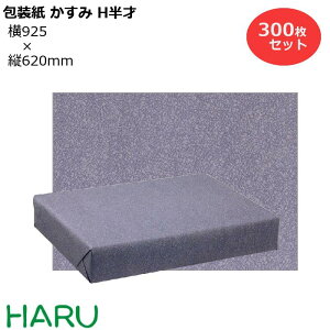 @p   H 300Zbg 925×c620mm ㎿ i  bsOy[p[ bsO [  傫 唻 S    bsO Ɩp a a a
