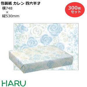  J lZ 300Zbg 748×c530mm ㎿i 킢 N[  MtgbsO bsO  Mtg Ɩp  N Ε Ε N Aj