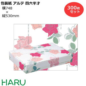  Ae lZ 300Zbg 748×c530mm ㎿i 킢 N[  MtgbsO bsO  Mtg Ɩp @@ag@@g N 