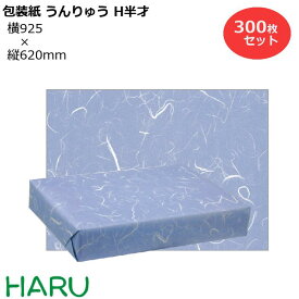 【スーパーSALE限定！10%OFFセール！】包装紙 うんりゅう H半才 300枚セット 横925×縦620mm コート紙クール かっこいい ギフトラッピング ラッピング 包装 ギフト 業務用 仏事 和風 和柄 和風柄 法事 法要 引き出物 お供え お供え物 挨拶 御歳暮 お歳暮 御年賀