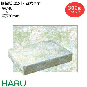  ~g lZ 300Zbg 748×c530mm ㎿i 킢 N[  MtgbsO bsO  Mtg Ɩp  N Ε Ε N Aj