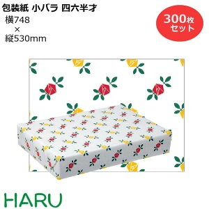  o lZ 300Zbg 748×c530mm i 킢 N[  MtgbsO bsO  Mtg Ɩp  ag@@Ȃ@g N