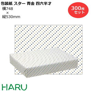  X^[ lZ 300Zbg 748×c530mm i 킢 N[  MtgbsO bsO  Mtg Ɩp  N Ε Ε N Aj