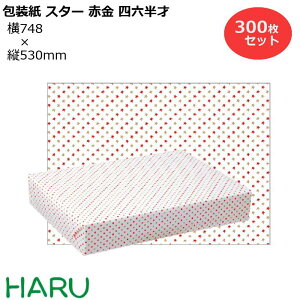  X^[ԋ lZ 300Zbg 748×c530mm i 킢 N[  MtgbsO bsO  Mtg Ɩp  N Ε Ε N Aj