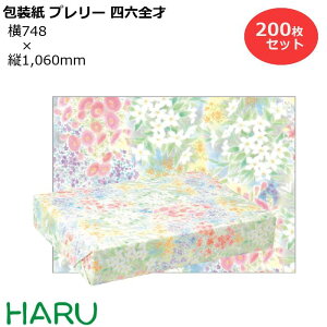  v[ lZS 200Zbg 748×c1,060mm ㎿i 킢 N[  MtgbsO bsO  Mtg Ɩp  N Ε Ε N Aj