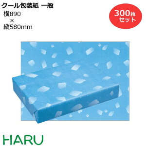 N[ ʗp H 300Zbg 890×c580mm NЃc Hi h  ① Ⓚ `h C I   bsO  Mtg Ɩp  ag@@Ȃ