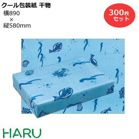 クール包装紙 干物 H半才 300枚セット 横890×縦580mm 晒片ツヤ 撥水加工（ 防水 撥水 冷蔵 冷凍 チルド 湿気 結露 水 水分 ラッピング 包装 ギフト 業務用 梱包 昭和レトロ　懐かしい　なつかしい　レトロ 年末 御歳暮 お歳暮 御年賀 ご挨拶）