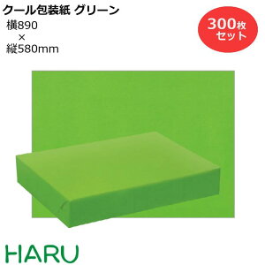 N[ O[ H 300Zbg 890×c580mm NЃc Hi h  ① Ⓚ `h C I   bsO  Mtg Ɩp  N Ε Ε N 