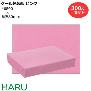 N[ sN H 300Zbg 890×c580mm NЃc Hi h  ① Ⓚ `h C I   bsO  Mtg Ɩp  N Ε Ε N 