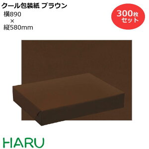 N[ uE H 300Zbg 890×c580mm NЃc Hi h  ① Ⓚ `h C I   bsO  Mtg Ɩp  Ε Ε A 䈥A 