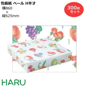  y[F H 300Zbg 860×c625mm ㎿i t[c 킢 MtgbsO bsO  Mtg Ɩp  ag@@Ȃ@g N Ε 