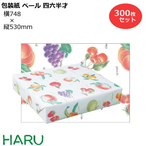  y[F lZ 300Zbg 748×c530mm i t[c 킢 MtgbsO bsO  Mtg Ɩp  ag@@Ȃ@g N Ε 