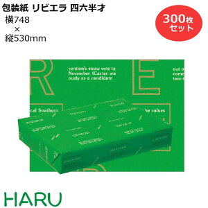  rGF lZ 300Zbg 748×c530mm R[gi t[c 킢 MtgbsO bsO  Mtg Ɩp  N Ε Ε N Aj