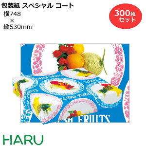  XyVF lZ 300Zbg 748×c530mm R[gi t[c 킢 MtgbsO bsO  Mtg Ɩp  ag@@Ȃ@g N