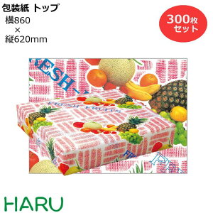  gbvF H 300Zbg 860×c620mm i t[c 킢 MtgbsO bsO  Mtg Ɩp  ag@@Ȃ@g N Ε 