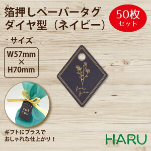 y[p[^O@_C^@lCr[ 50 57×70mm ( ^O y[p[^O ^O D Mtg^O bsO bsOpi Mtg  i v`Mtg ׎D IWi 킢