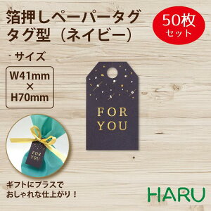 y[p[^O@^O^@lCr[ 50 41×70mm ( ^O y[p[^O ^O D Mtg^O bsO bsOpi Mtg  i v`Mtg ׎D IWi 킢 