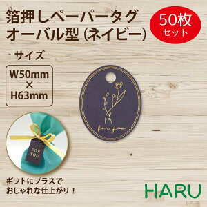 y[p[^O@I[o^@lCr[ 50 50×63mm ( ^O y[p[^O ^O D Mtg^O bsO bsOpi Mtg  i v`Mtg ׎D IWi 킢