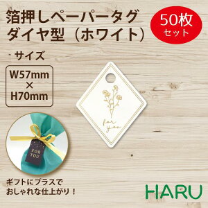 y[p[^O@_C^@zCg 50 57×70mm ( ^O y[p[^O ^O D Mtg^O bsO bsOpi Mtg  i v`Mtg ׎D IWi 킢