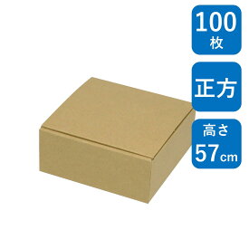 ヤマニパッケージ お好みBOX 9 両面クラフト 正方 100枚 EE-571 138×135×57 国内製造ギフトボックス 包装 箱 梱包資材 段ボール ダンボール 紙箱 ラッピング 菓子 洋菓子 和菓子 クッキー ハンドメイド 雑貨 メルカリ 業務用 60サイズ