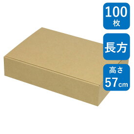 ヤマニパッケージ お好みBOX 13 両面クラフト 長方 100枚 EE-575 258×180×57 国内製造ギフトボックス 包装 箱 梱包資材 段ボール ダンボール 紙箱 ラッピング 菓子 洋菓子 和菓子 クッキー ハンドメイド 雑貨 メルカリ 業務用 60サイズ