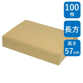 ヤマニパッケージ お好みBOX 14 両面クラフト 長方 100枚 EE-576 298×205×57 国内製造ギフトボックス 包装 箱 梱包資材 段ボール ダンボール 紙箱 ラッピング 菓子 洋菓子 和菓子 クッキー ハンドメイド 雑貨 メルカリ 業務用 60サイズ